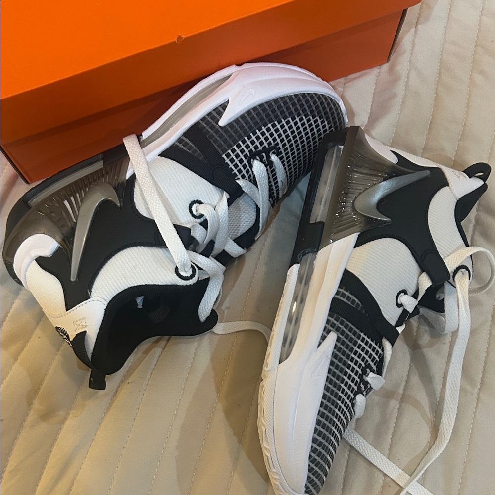Nike Lebron James basketball shoes. New without original box